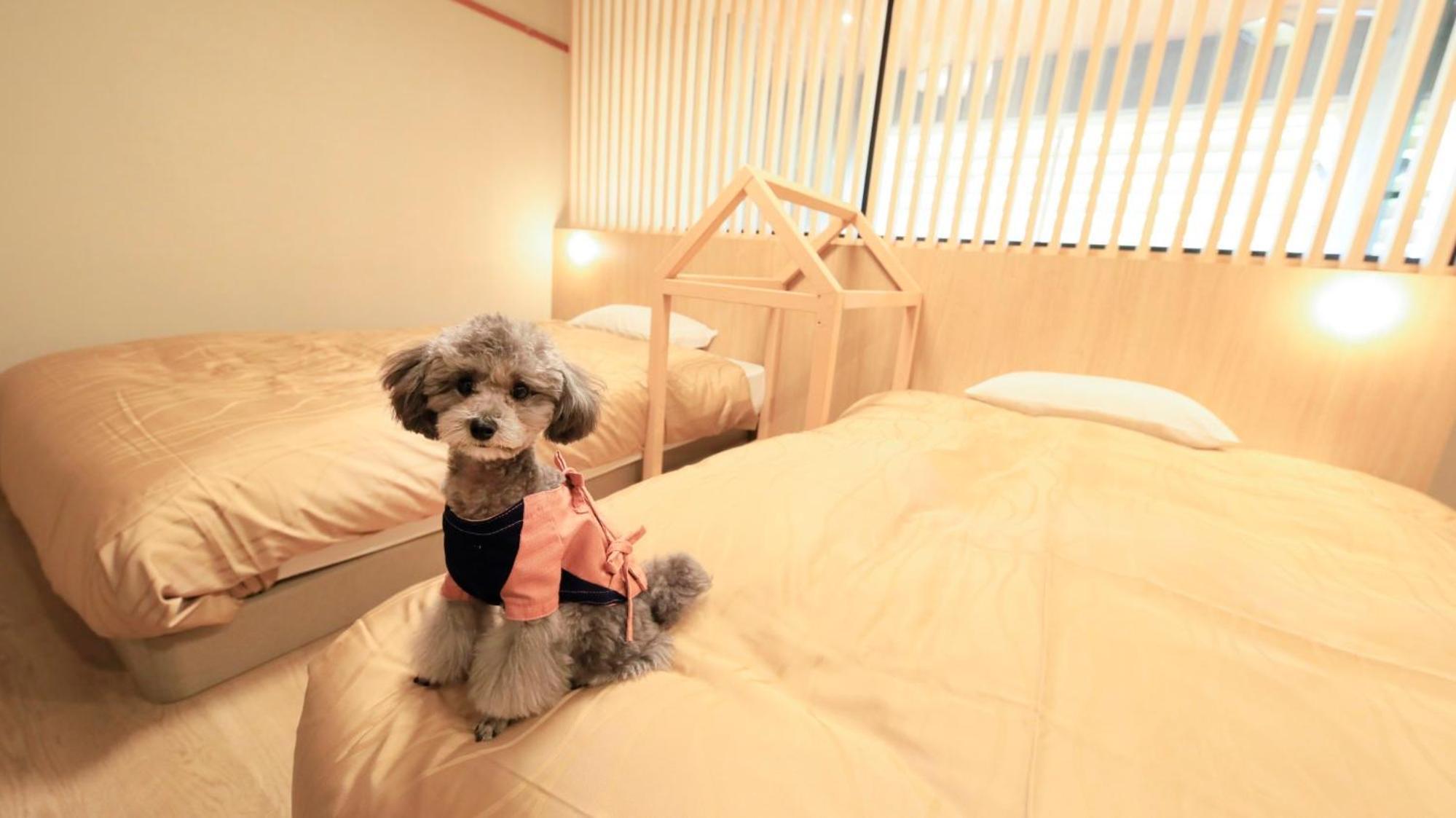 Yururi Nishiizu Hotel Izu  Exterior photo